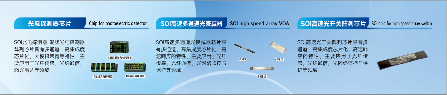 SOI光芯片系列